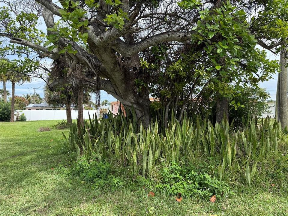 待售: $300,000 (0.20 acres)