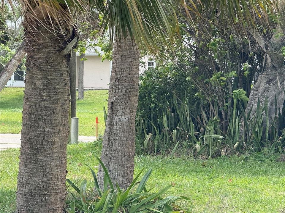 待售: $300,000 (0.20 acres)