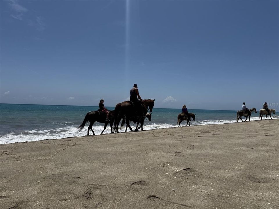 待售: $300,000 (0.20 acres)