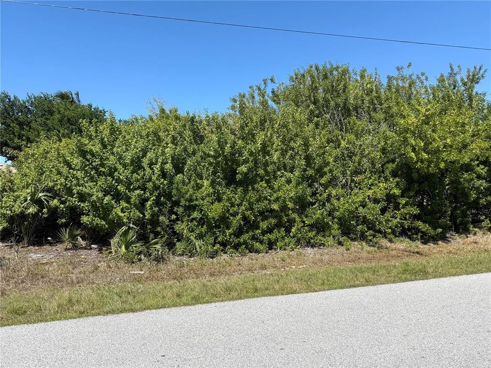 待售: $125,000 (0.23 acres)