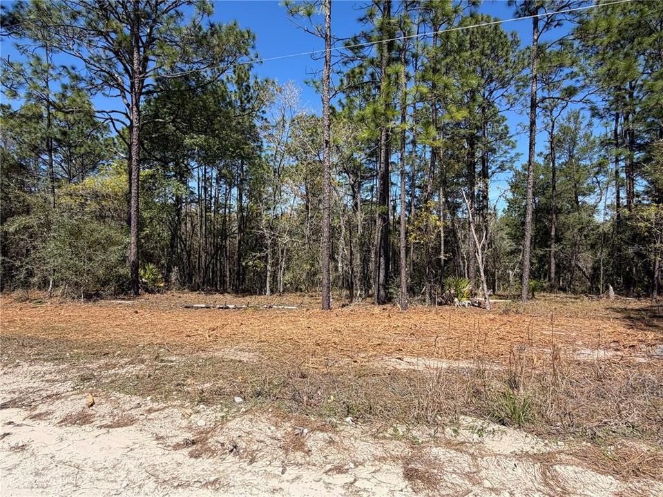 For Sale: $60,000 (2.58 acres)