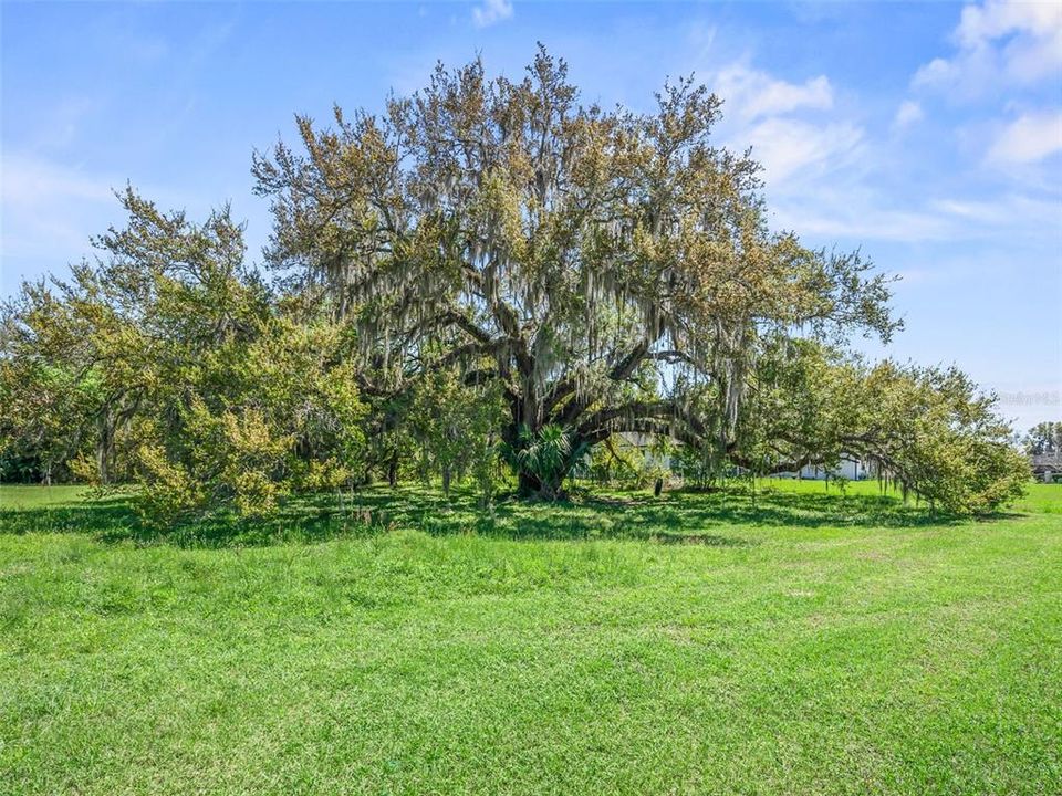 На продажу: $145,000 (0.80 acres)