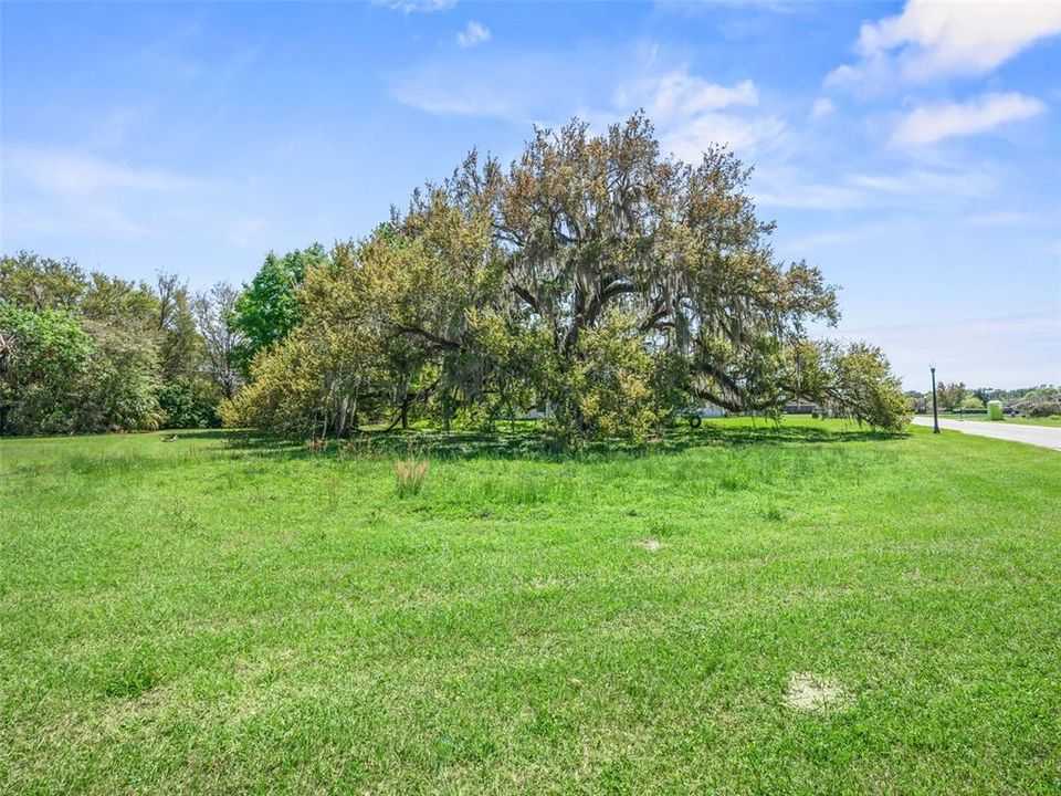 На продажу: $145,000 (0.80 acres)