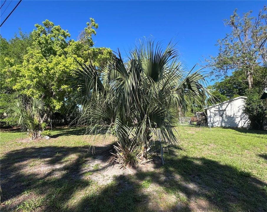 На продажу: $99,000 (0.13 acres)
