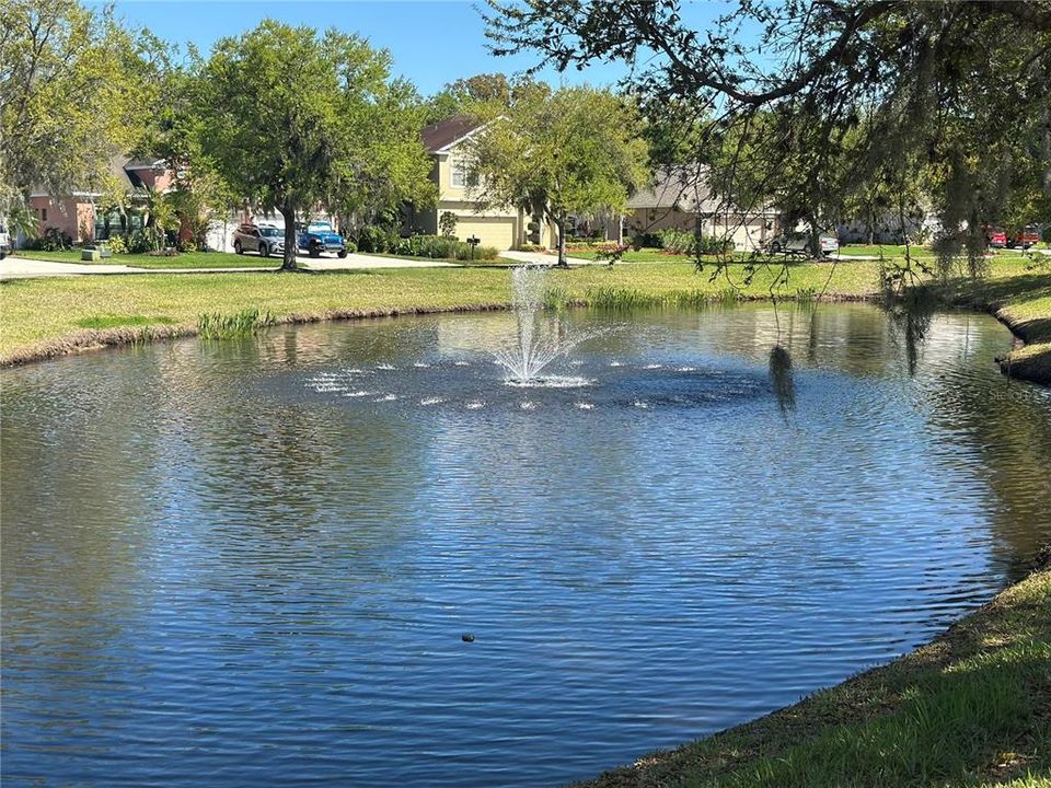 Под контрактом: $299,900 (3 спален, 2 ванн, 1263 Квадратных фут)