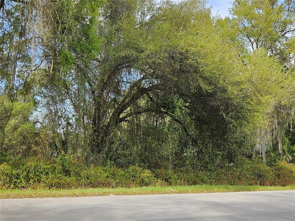 待售: $32,000 (0.29 acres)