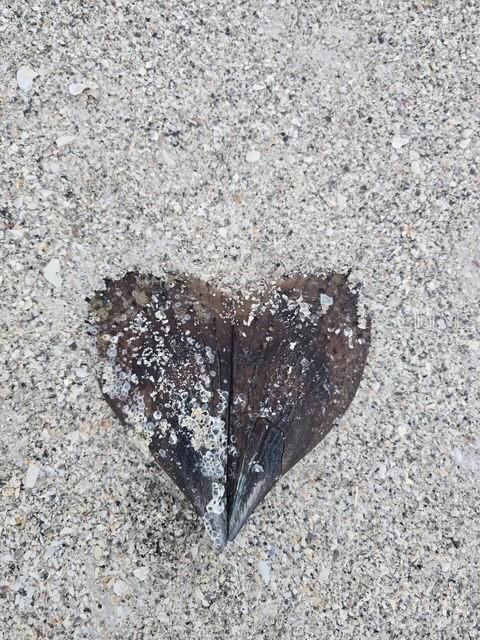 For Rent: $4,400 (2 beds, 2 baths, 1150 Square Feet)