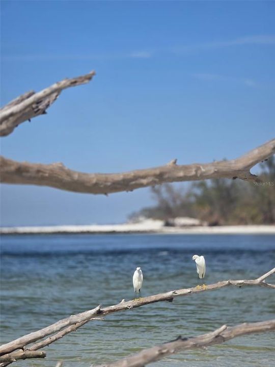 For Rent: $4,400 (2 beds, 2 baths, 1150 Square Feet)