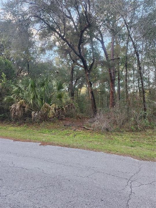 待售: $18,500 (0.22 acres)