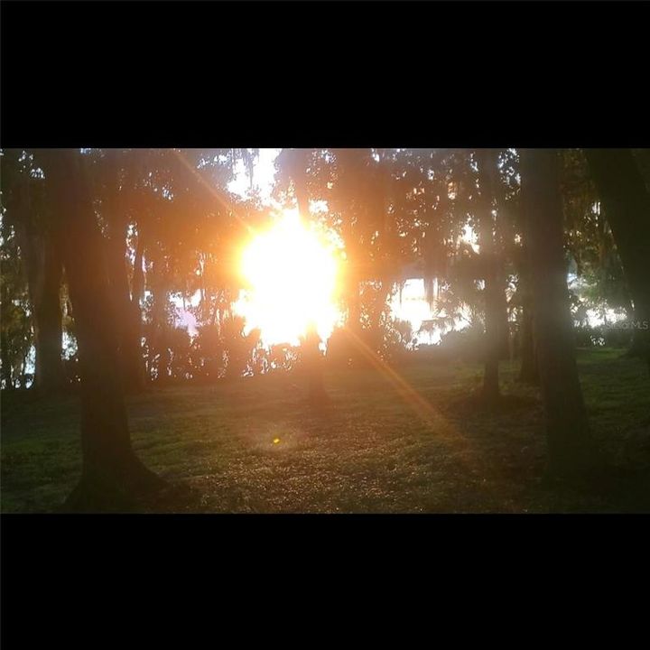 На продажу: $225,000 (3 спален, 1 ванн, 1076 Квадратных фут)