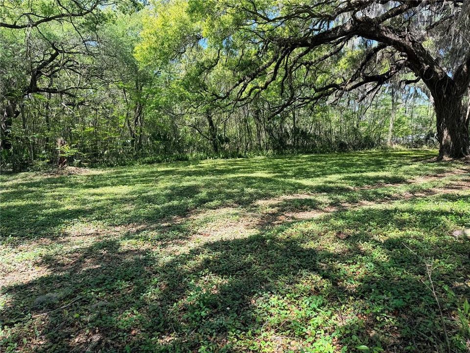 For Sale: $150,000 (1.38 acres)