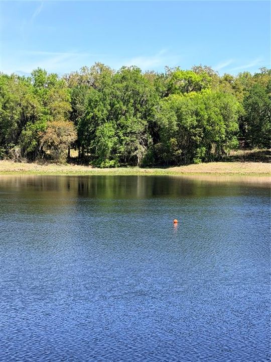 For Sale: $150,000 (1.38 acres)