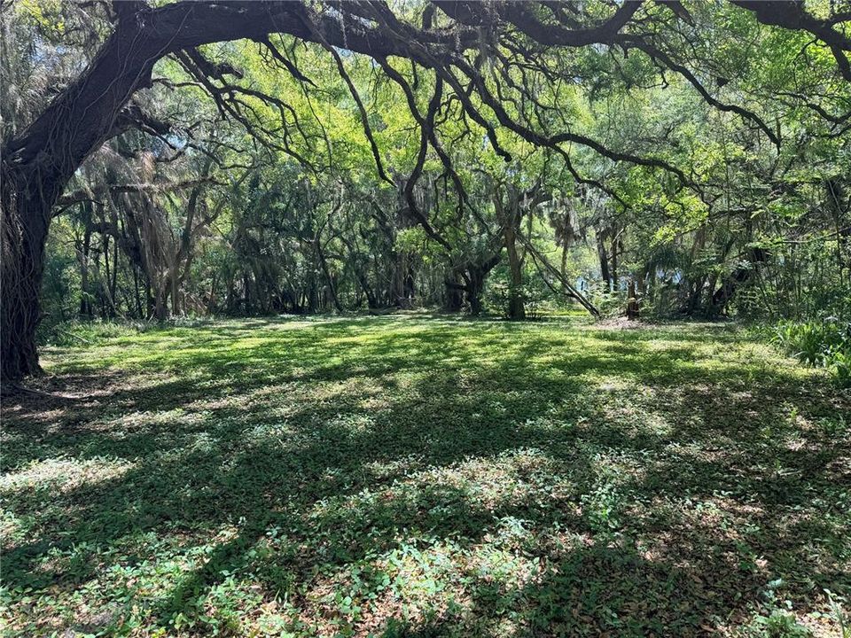 For Sale: $150,000 (1.38 acres)