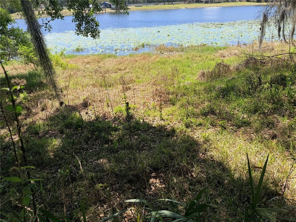 For Sale: $150,000 (1.38 acres)