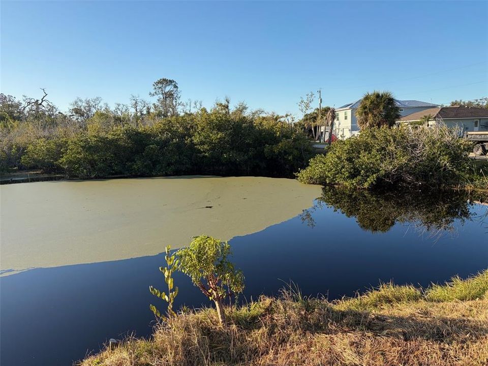 На продажу: $68,495 (0.22 acres)