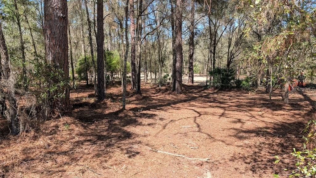 На продажу: $99,000 (1.14 acres)