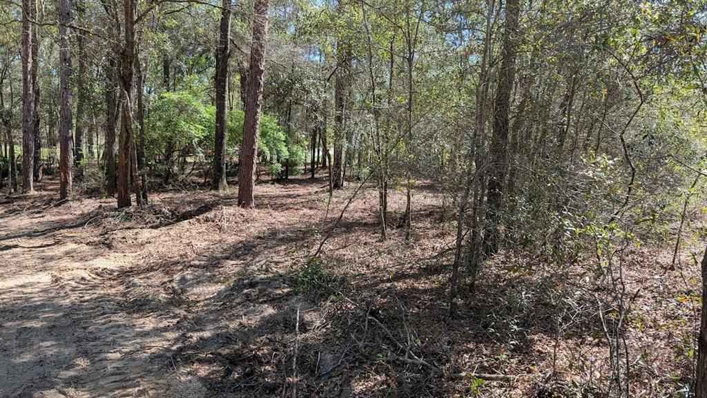 На продажу: $99,000 (1.14 acres)