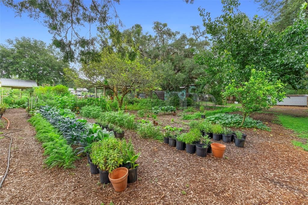 En Venta: $1,799,000 (8 camas, 4 baños, 4450 Pies cuadrados)