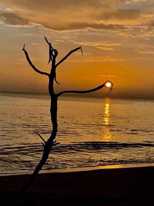 В аренду: $2,295 (2 спален, 2 ванн, 1443 Квадратных фут)