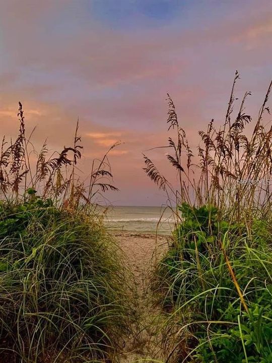 В аренду: $2,295 (2 спален, 2 ванн, 1443 Квадратных фут)