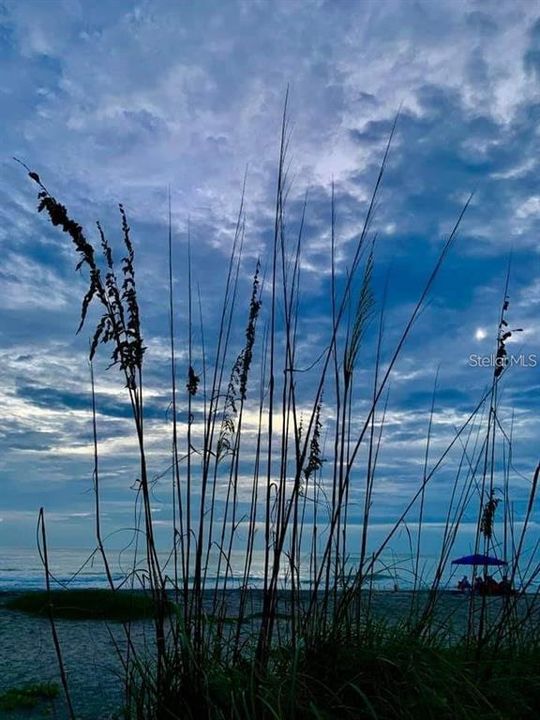 В аренду: $2,295 (2 спален, 2 ванн, 1443 Квадратных фут)