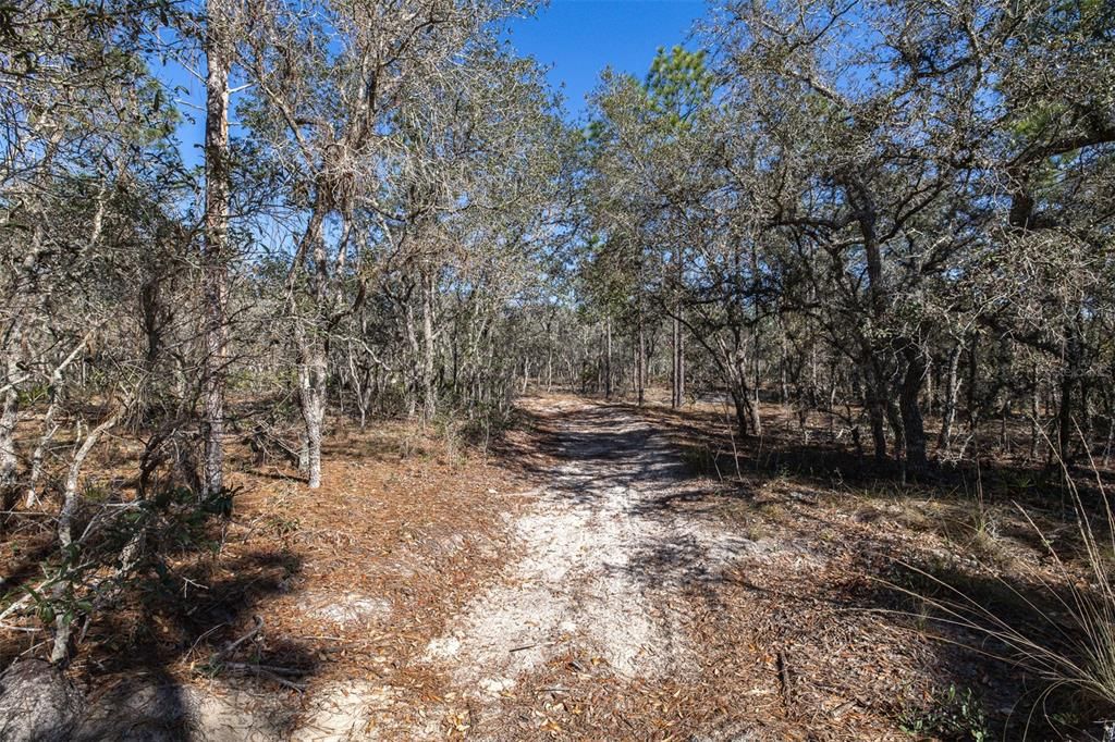 На продажу: $150,000 (4.46 acres)