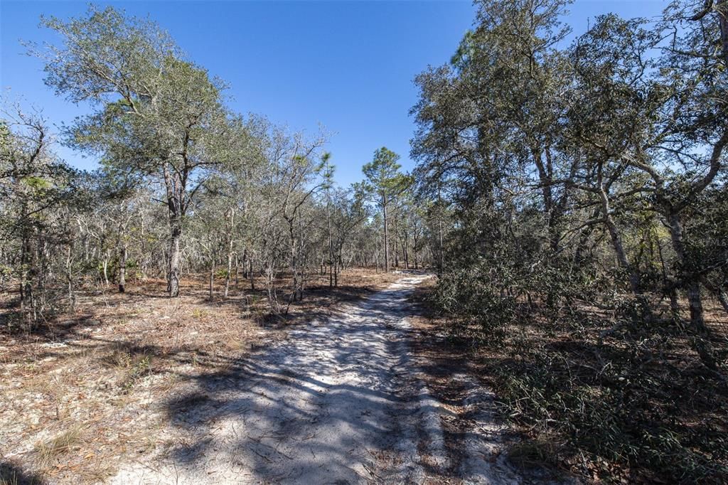 На продажу: $150,000 (4.46 acres)