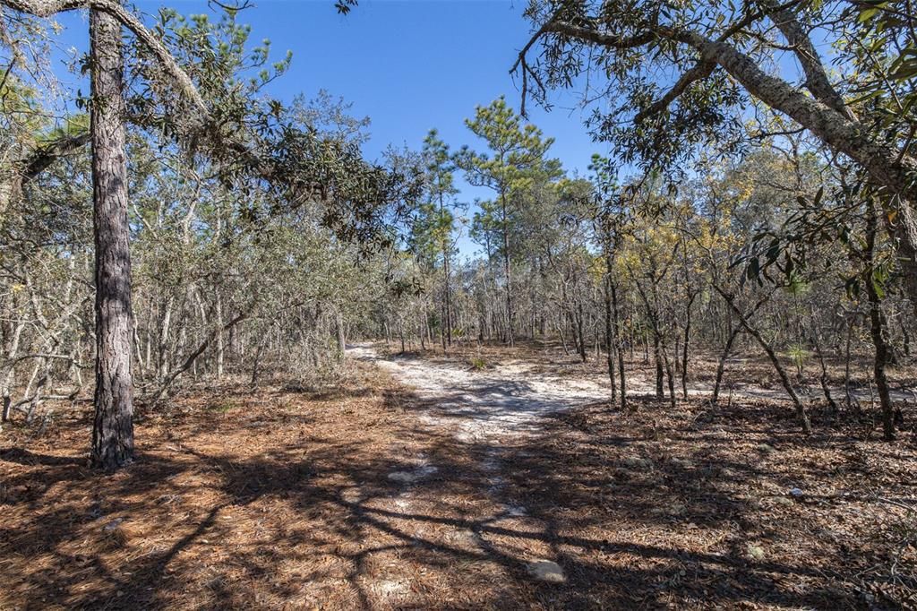 На продажу: $150,000 (4.46 acres)