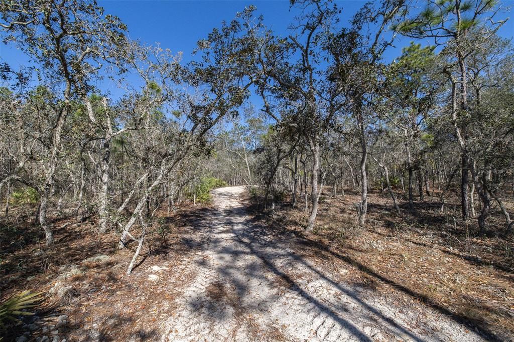 На продажу: $150,000 (4.46 acres)