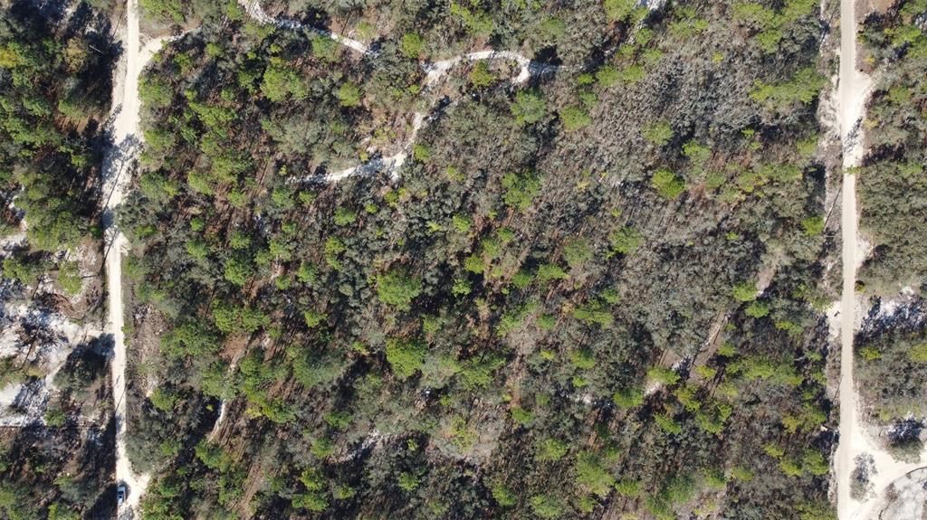 En Venta: $125,000 (4.48 acres)