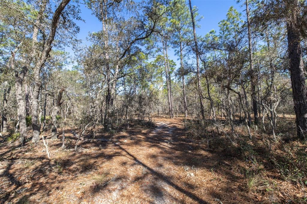En Venta: $125,000 (4.48 acres)