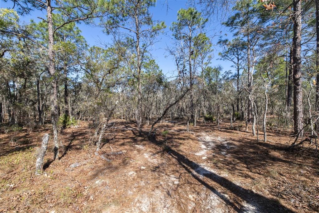 En Venta: $125,000 (4.48 acres)