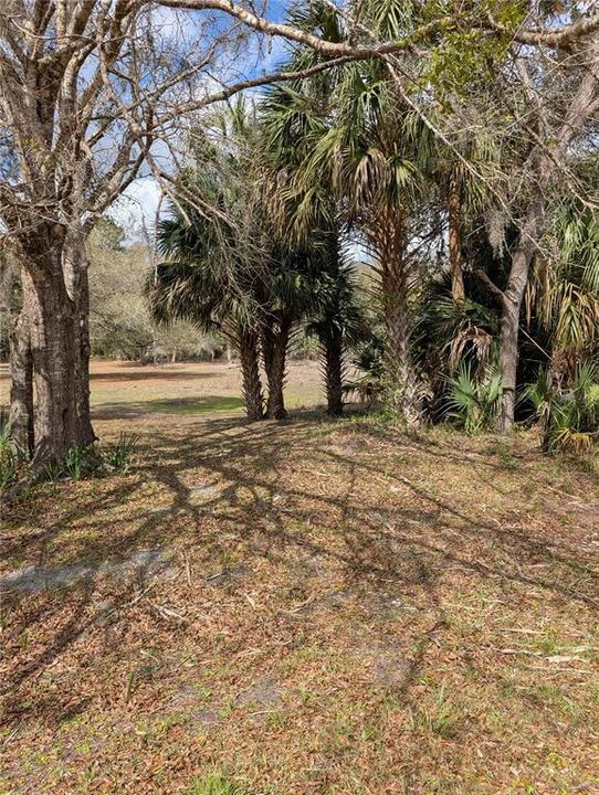 For Sale: $49,900 (2.36 acres)