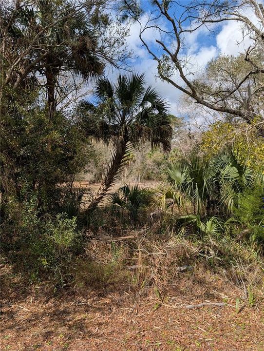 For Sale: $49,900 (2.36 acres)