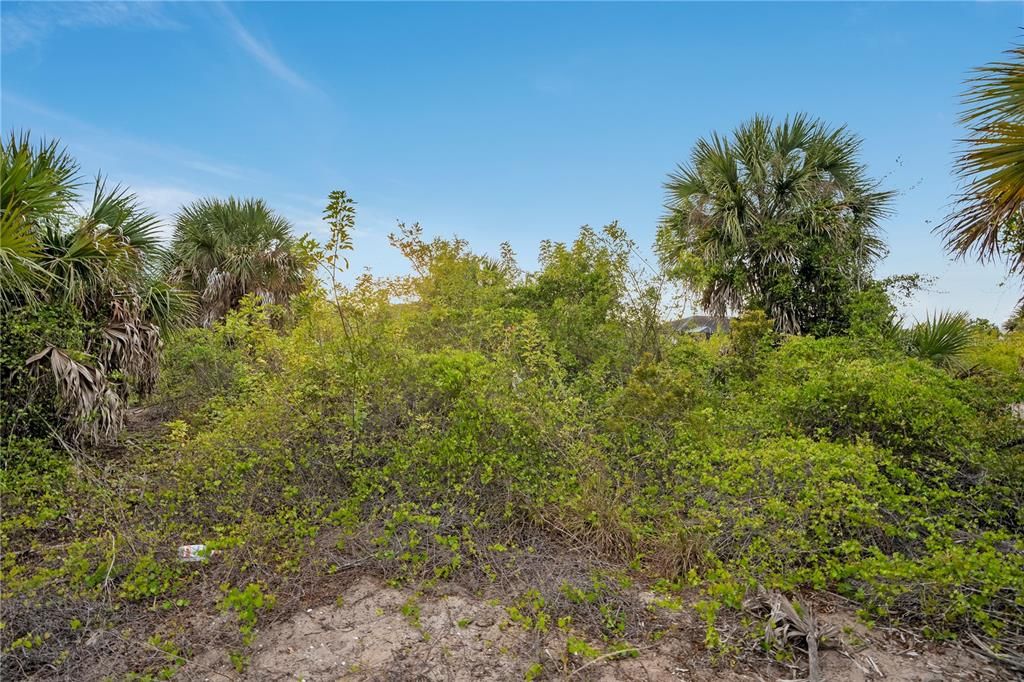 На продажу: $70,000 (0.23 acres)