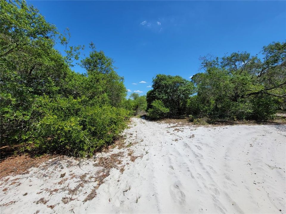 На продажу: $65,000 (0.23 acres)