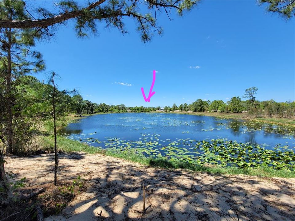 На продажу: $65,000 (0.23 acres)