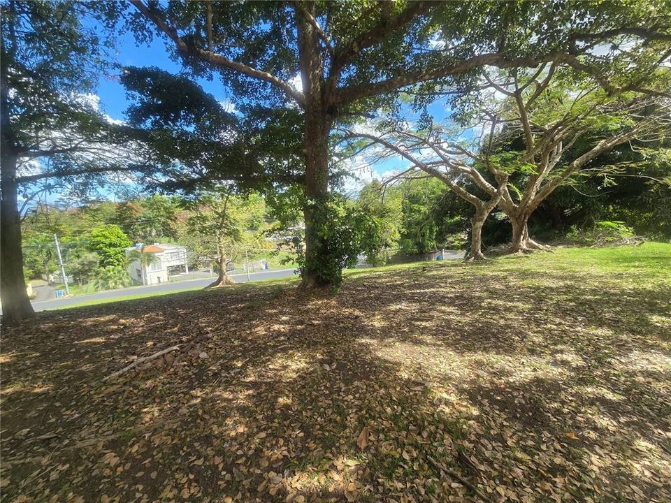 For Sale: $325,000 (3 beds, 2 baths, 1253 Square Feet)