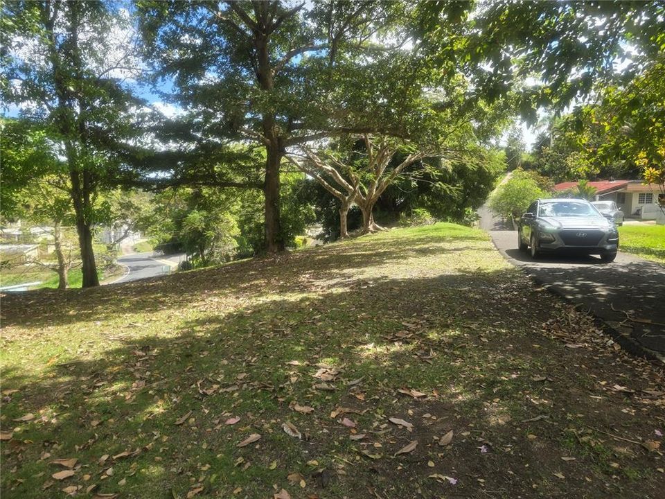 For Sale: $325,000 (3 beds, 2 baths, 1253 Square Feet)