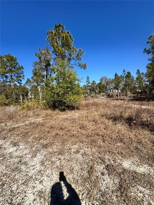 En Venta: $21,990 (0.28 acres)