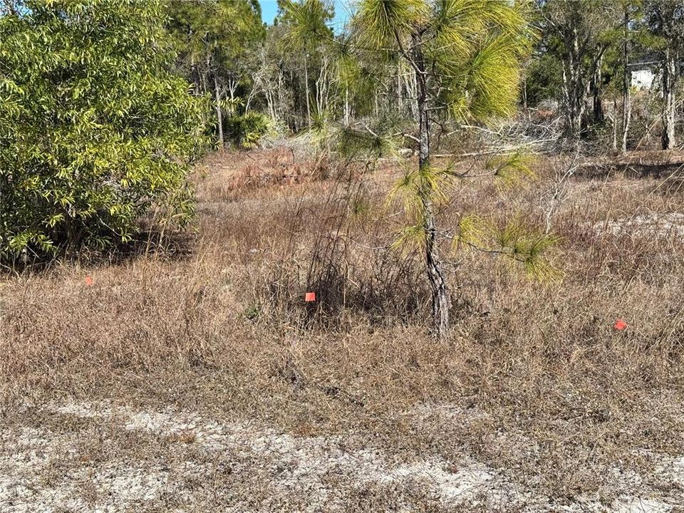 En Venta: $21,990 (0.28 acres)