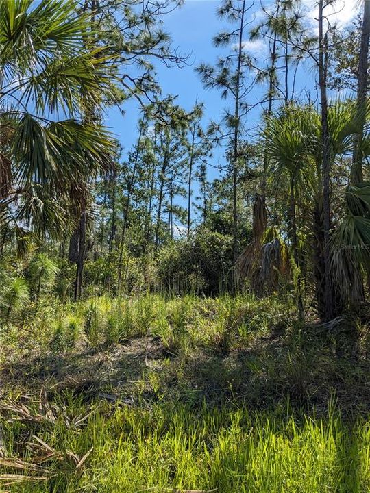 En Venta: $78,000 (0.92 acres)