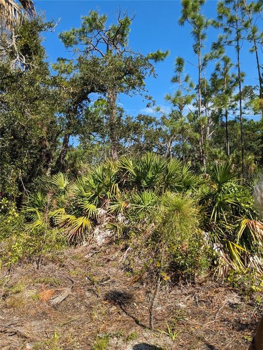 En Venta: $78,000 (0.92 acres)