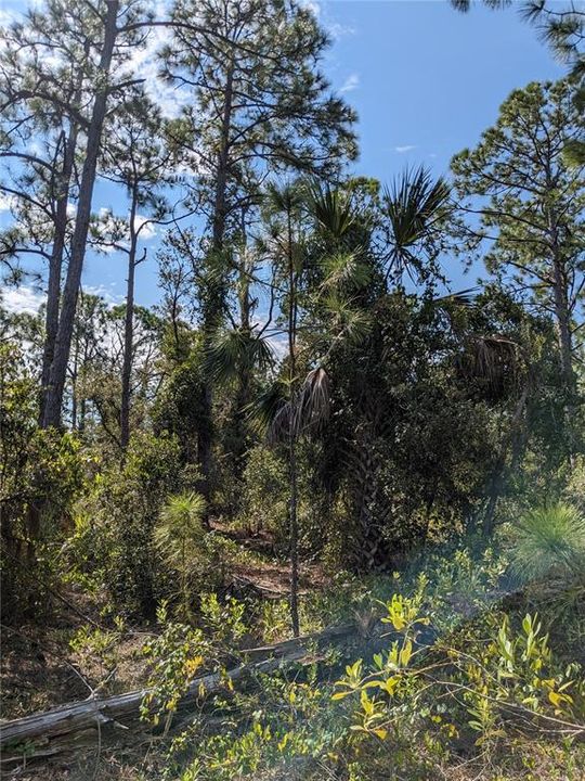 En Venta: $78,000 (0.92 acres)