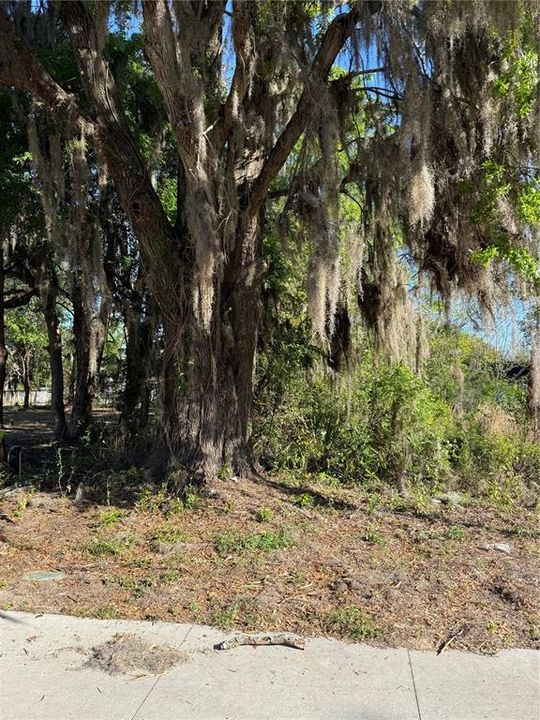 待售: $19,900 (0.12 acres)