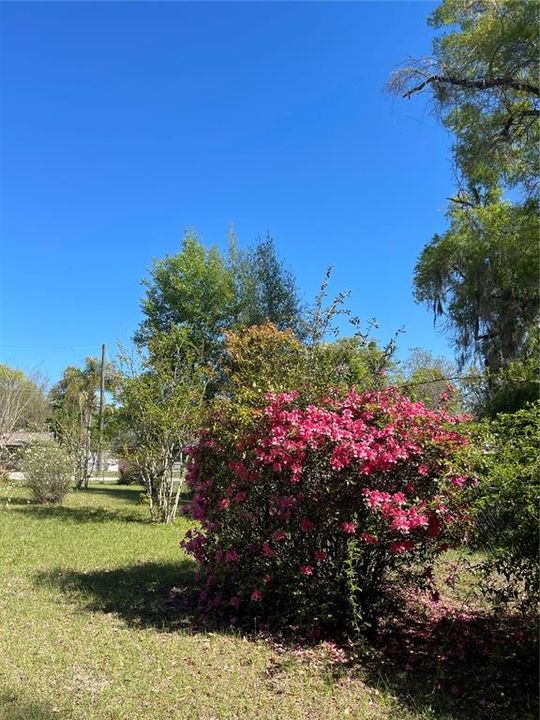 Activo con contrato: $365,000 (3 camas, 2 baños, 2020 Pies cuadrados)