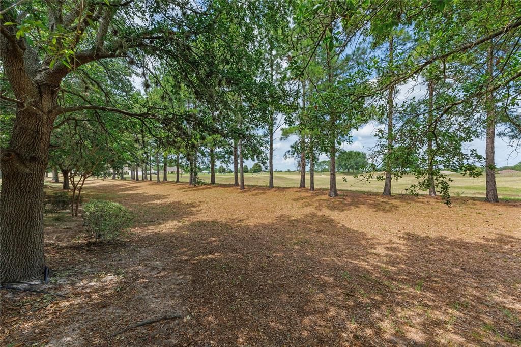 Active With Contract: $415,000 (4 beds, 3 baths, 2864 Square Feet)