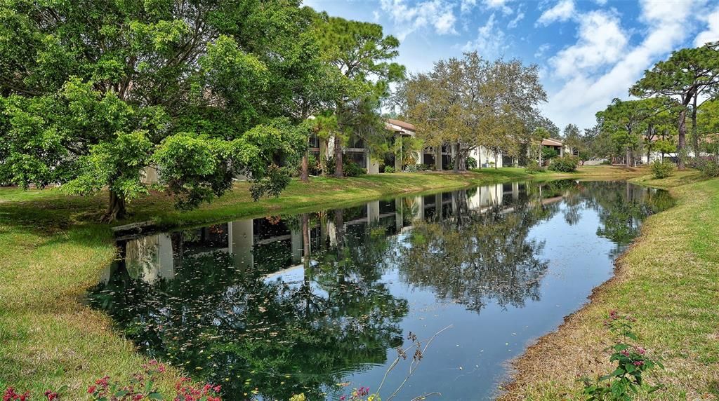 出租: $2,600 (2 贝兹, 2 浴室, 990 平方英尺)