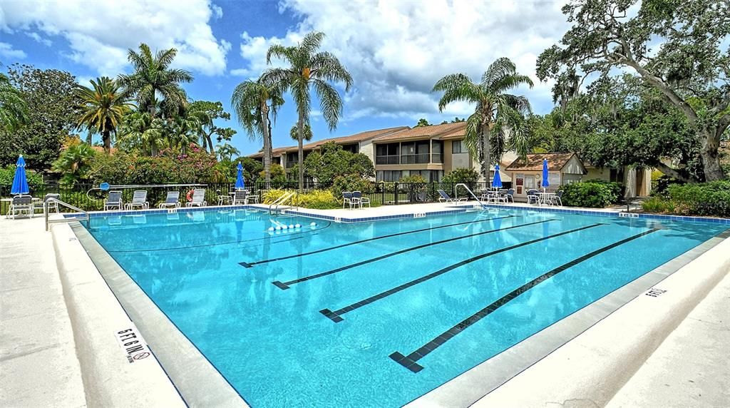 出租: $2,600 (2 贝兹, 2 浴室, 990 平方英尺)