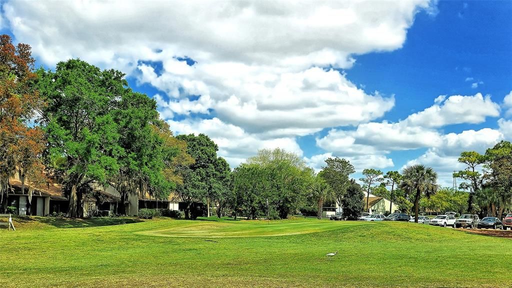 出租: $2,600 (2 贝兹, 2 浴室, 990 平方英尺)